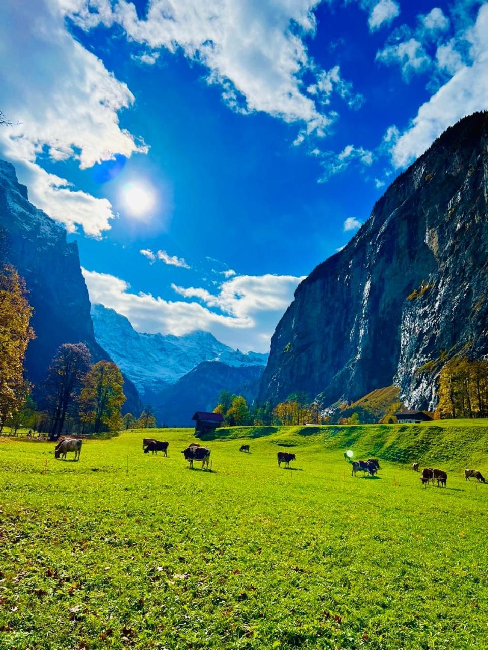 Chalet Rosa B&B Lauterbrunnen Ngoại thất bức ảnh